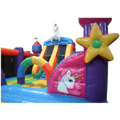 AC Toboggan A L'intérieur Licorne Château Gonflable
