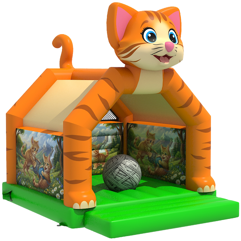 Cat Bouncy Castle