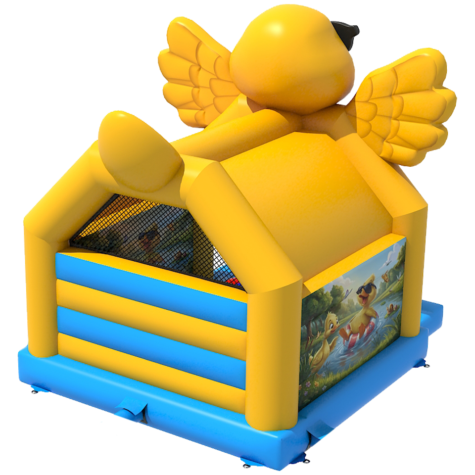 Canard Château Gonflable