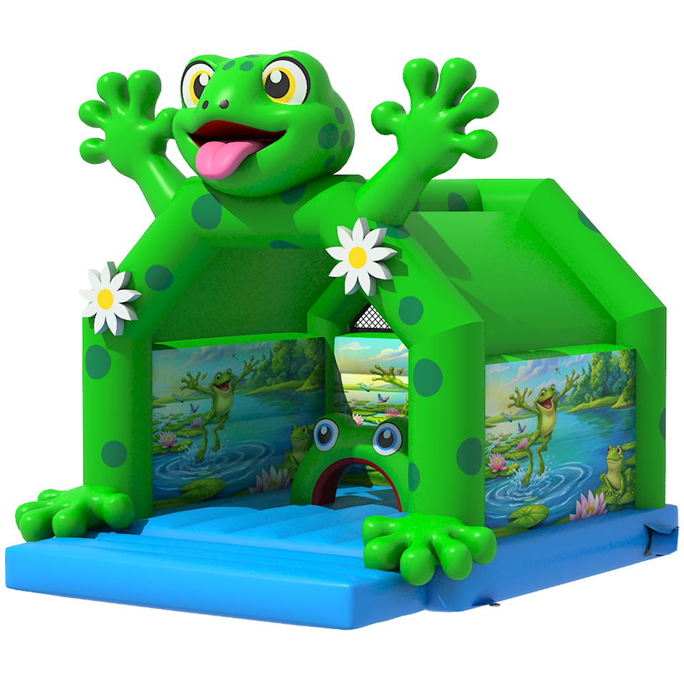 Frog Bouncy Castle