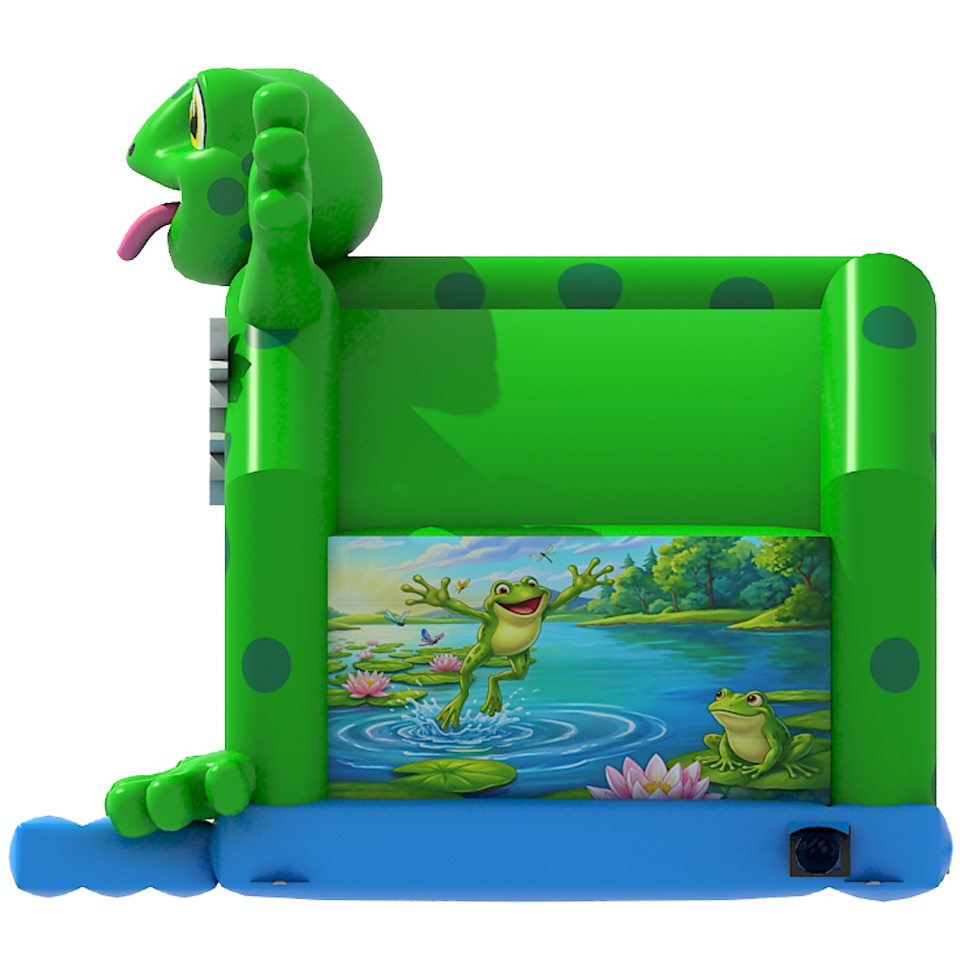Frog Bouncy Castle