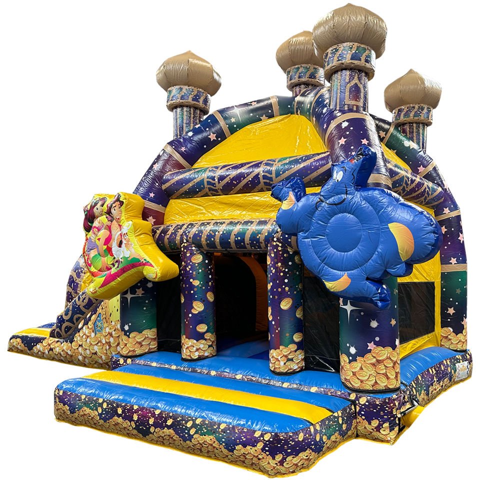 Château Wonderlamp avec Grand Toboggan