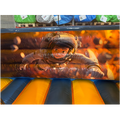 Combo Midi 2 Toboggans Comic Chateau Gonflable