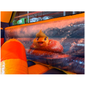 Canard