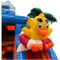Canard 3D