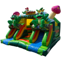 Combo Midi 2 Toboggans Grenouille Chateau Gonflable