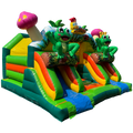 Combo Midi 2 Toboggans Grenouille Chateau Gonflable