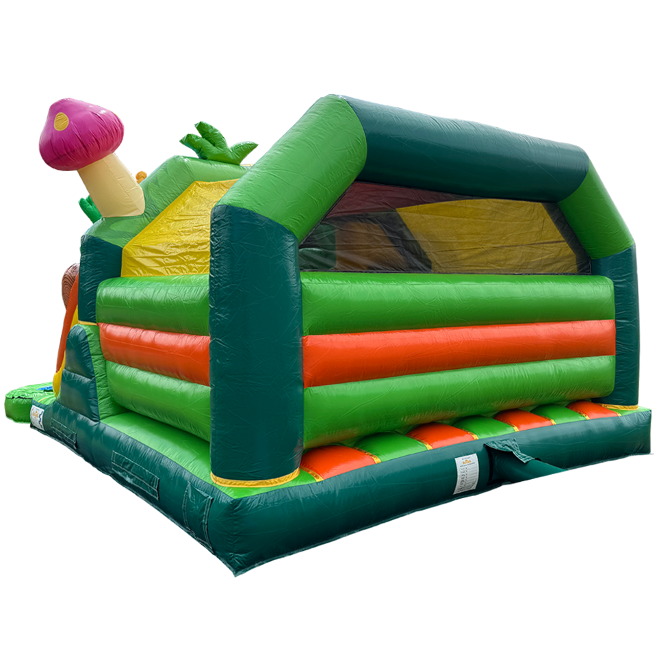Château gonflable Combi Midi 2 toboggans Grenouille