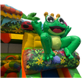 Combo Midi 2 Toboggans Grenouille Chateau Gonflable