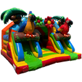 Combo Midi 2 Toboggans Perroquet Chateau Gonflable
