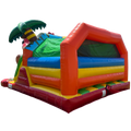 Combo Midi 2 Toboggans Perroquet Chateau Gonflable