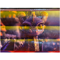 Combo Mini 3D Château du Dragon Château Gonflable