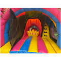Curve Bounce N Slide Princesse Chateau Gonflable