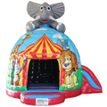 Disco Midi Éléphant Toboggan