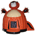 Disco Midi Tigre Toboggan Château Gonflable