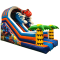 Toboggan Poisson Château Gonflable