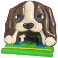 Front Play Midi Hond