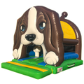 Hond 