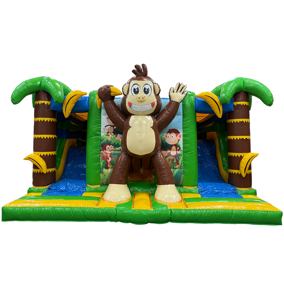 Multiplay Maxi 2 Toboggans Singe