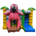Flamingo voorkant