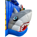 Haai
