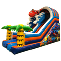 Toboggan Poisson Château Gonflable