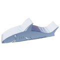 Requin