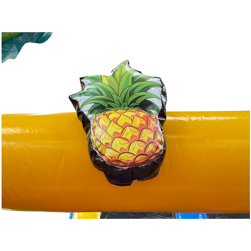 Slide N Play Hawaï