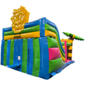 Toboggan Slide N Play Hawaï