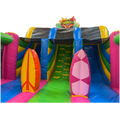 Toboggan Slide N Play Hawaï