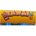 Toboggan Slide N Play Hawaï