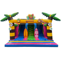 Toboggan Slide N Play Hawaï