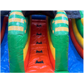Toboggan Slide N Play Panda Surfeur