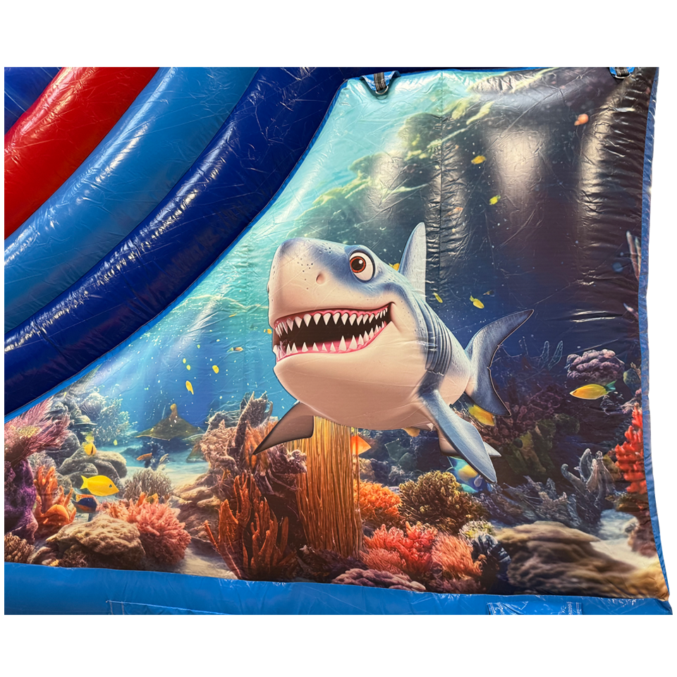 Toboggan Maxi Requin