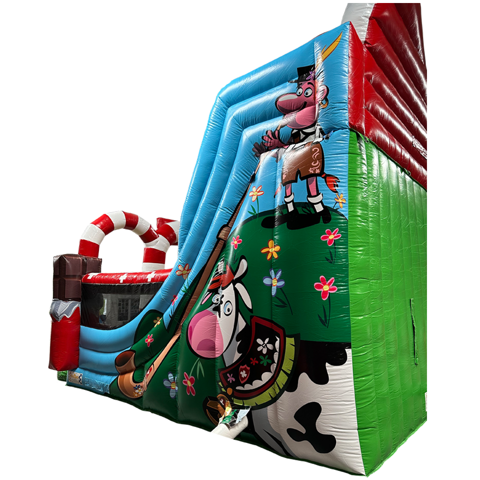 Toboggan Suisse