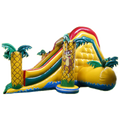 Tropicana Toboggan Structure Gonflable
