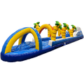 Ventriglisse Requin