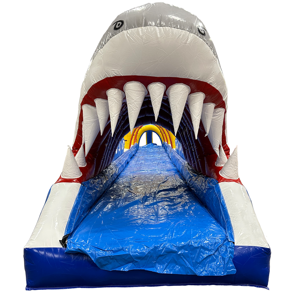 Ventriglisse Requin
