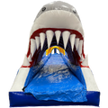 Ventriglisse Requin