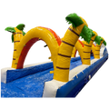 Ventriglisse Requin