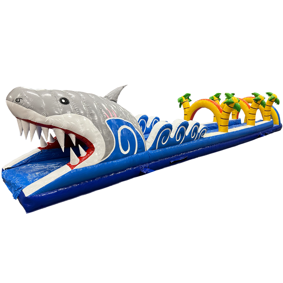 Ventriglisse Requin