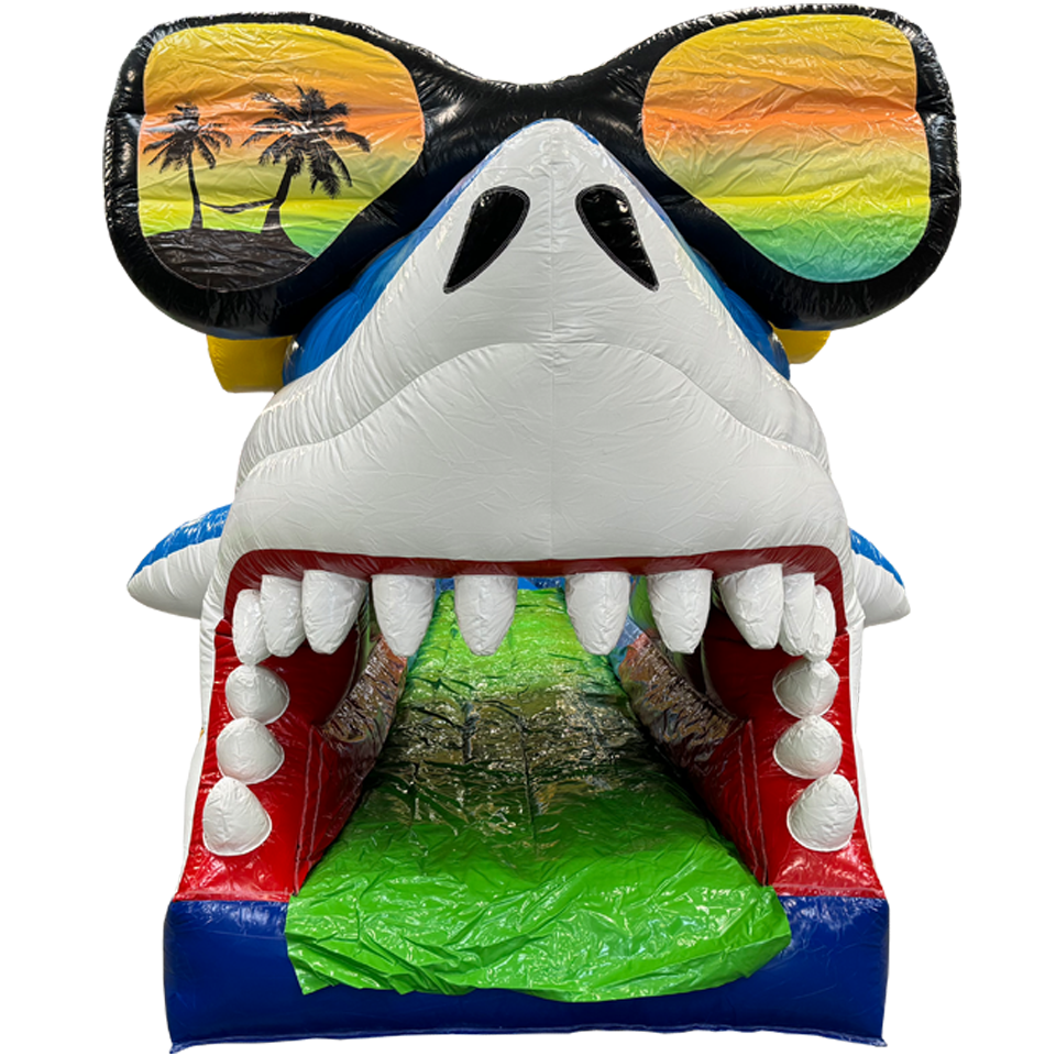 Toboggan aquatique Surfing Requin