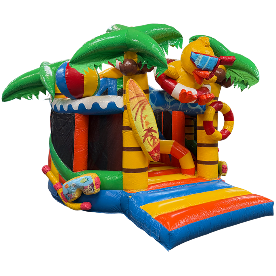 Château gonflable Toboggan Eend
