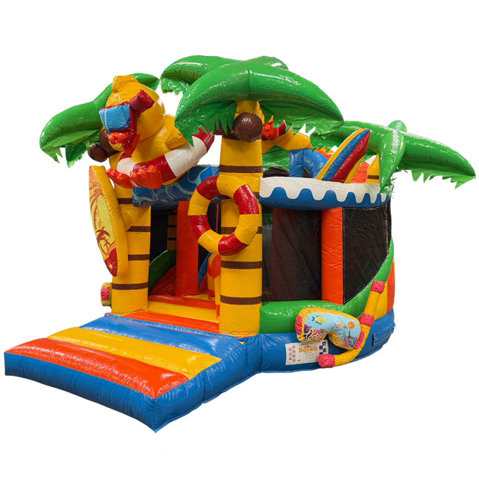 Château gonflable Toboggan Eend