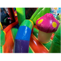 Twist N Slide Grenouille Château Gonflable