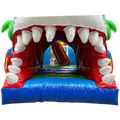 Twist N Slide Requin Surfeur Château Gonflable