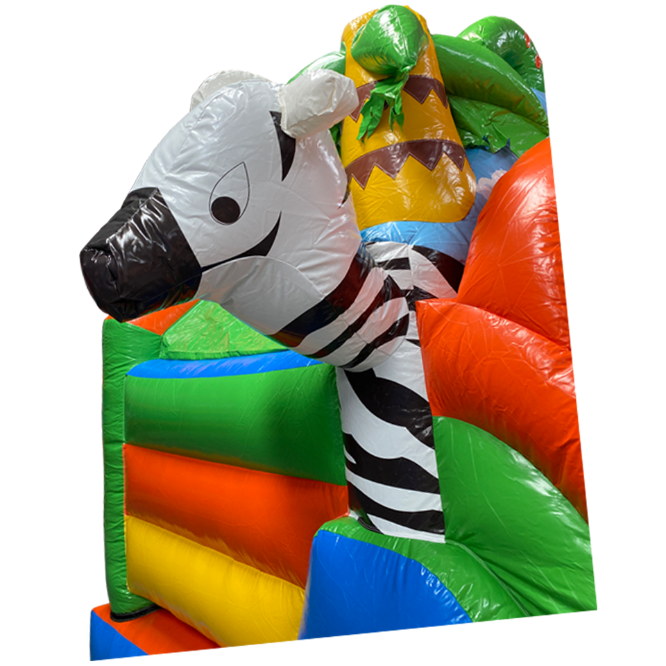 Close up Zebra