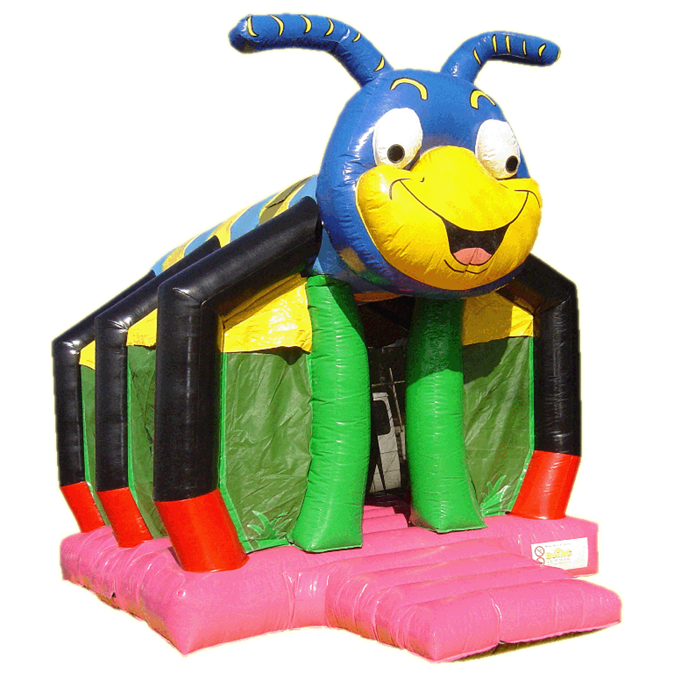 Insect Heureux