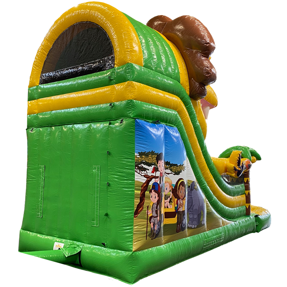 Petit Toboggan Lion