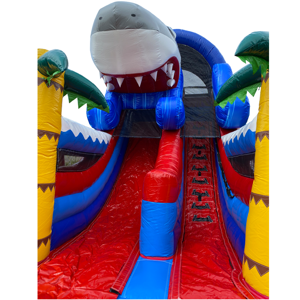 Petit Toboggan Bateau Requin